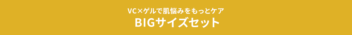 VC×ゲルで肌悩みをもっとケアBIGサイズセット