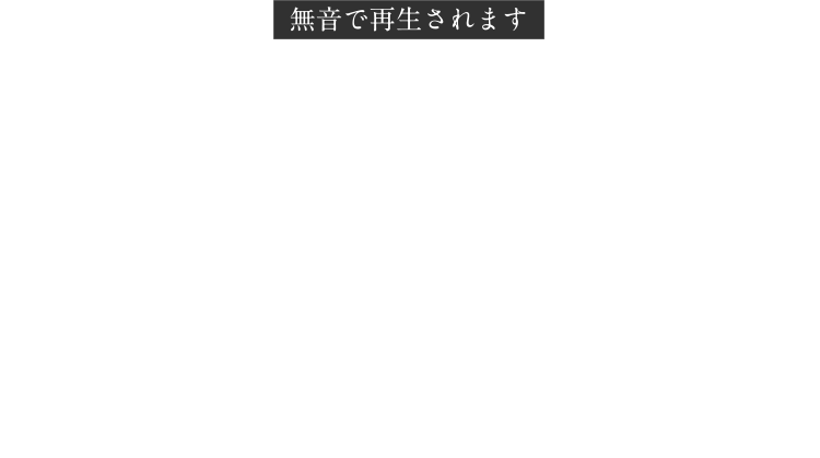 無音で再生されます