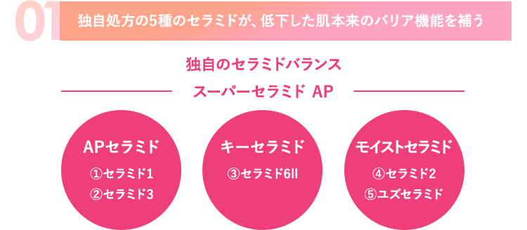 01.独自処方の5種のセラミドが、低下した肌本来のバリア機能を補う。独自のセラミドバランス。スーパーセラミド AP。