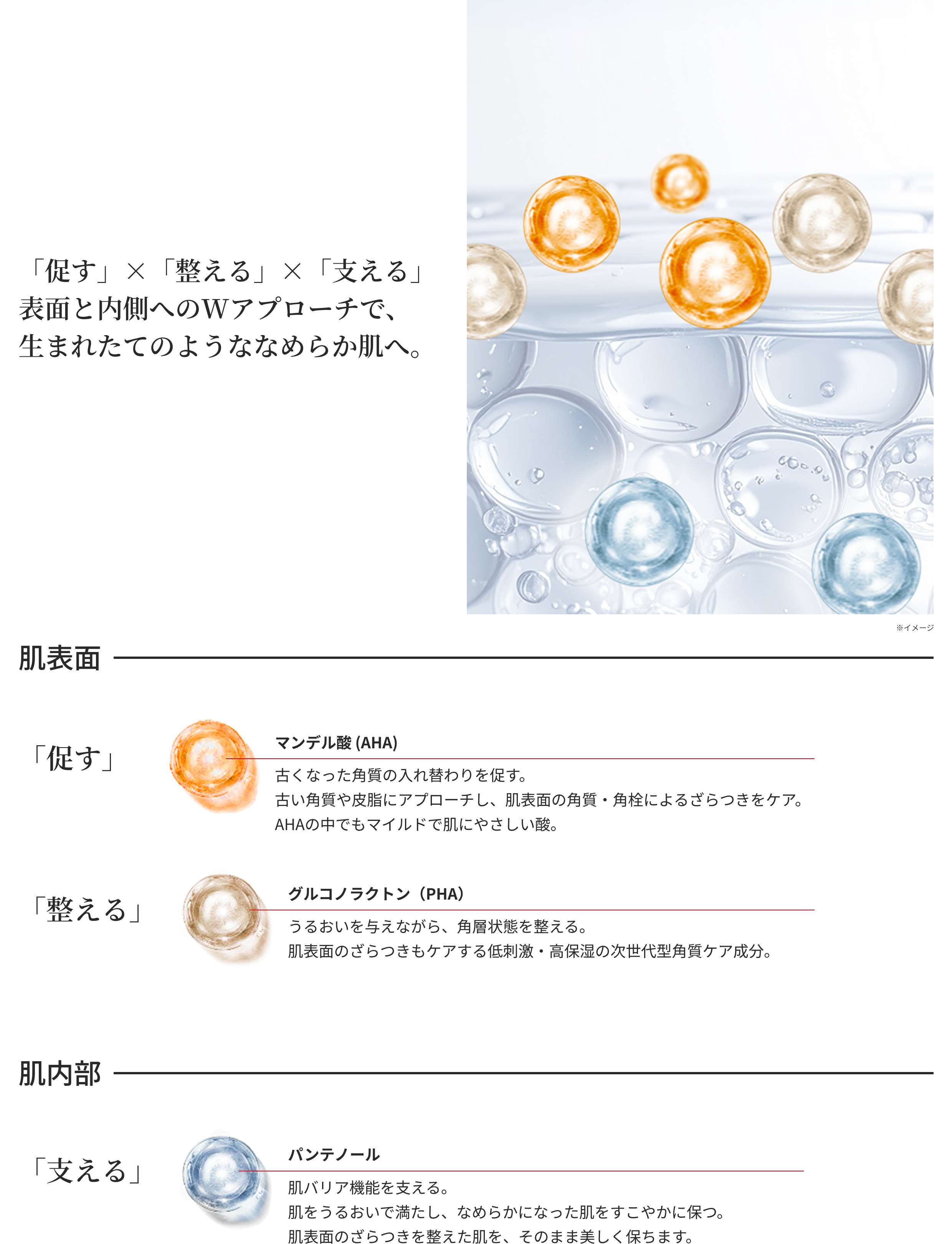 肌表面と肌内面の図