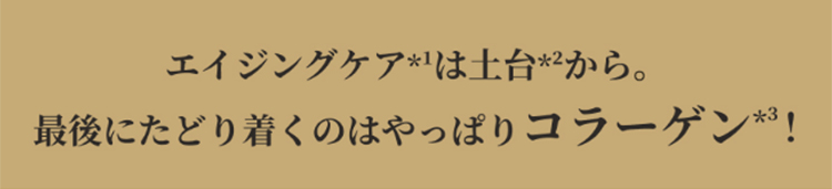 凛と上向き。自信に満ちるハリ肌へ。 アクアコラーゲンゲルエンリッチリフトEX