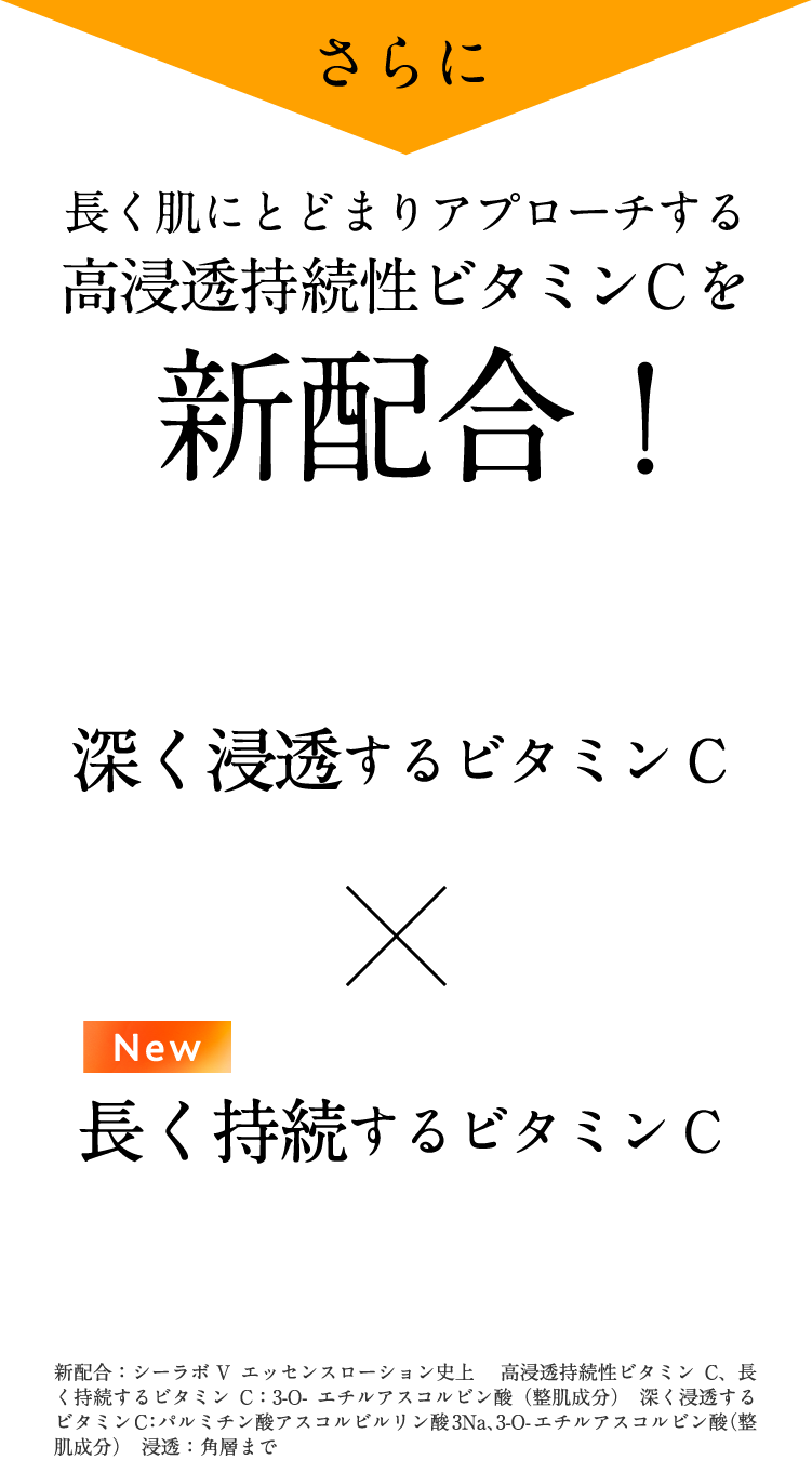 さらに長く肌にとどまりアプローチをする高浸透持続性ビタミンCを新配合!