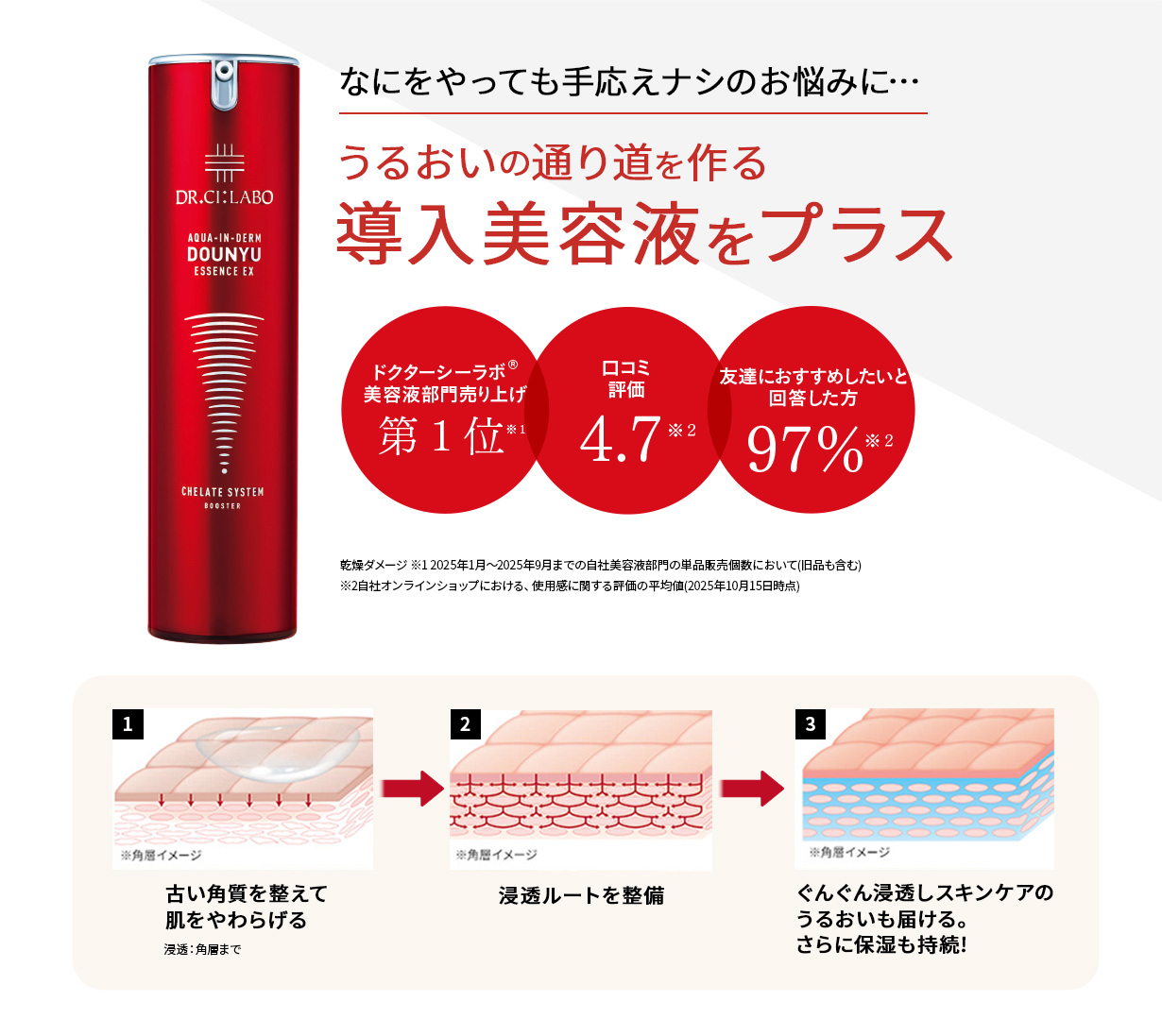 うるおいの通り道を作る導入美容液をプラス