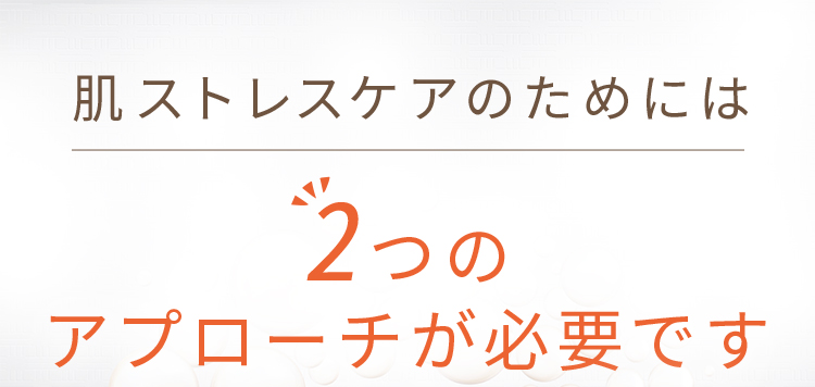 肌ストレスケアのためには2つのアプローチが必要です