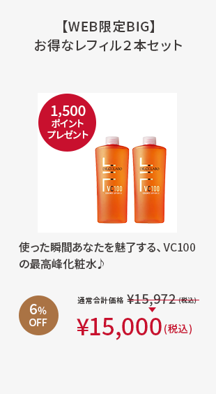 【WEB限定BIG】お得なレフィル２本セット