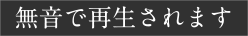 無音で再生されます