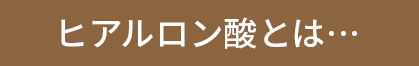 ヒアルロン酸とは