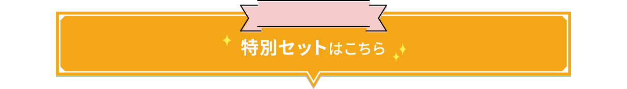 特別セットはこちら