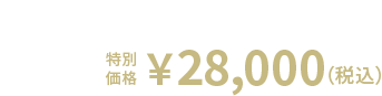 12%OFF 特別価格 ￥28,000(税込)