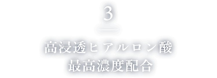 3. 高浸透ヒアルロン酸 最高濃度配合