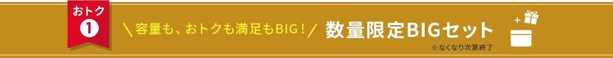 おトク① 容量も、おトクも満足もBIG!数量限定BIGセット なくなり次第終了