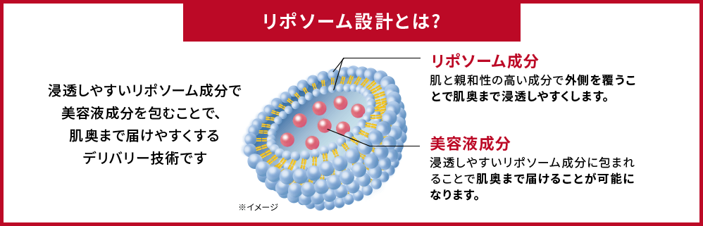 リポソーム設計とは？　浸透しやすいリポソーム成分で美容液成分を包むことで、肌奥まで届けやすくするデリバリー技術です　リポソーム成分：肌と親和性の高い成分で外側を覆うことで肌奥まで浸透しやすくします。　美容液成分：浸透しやすいリポソーム成分に包まれることで肌奥まで届けることが可能になります。