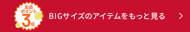 全品ポイント3倍 BIGサイズのアイテムをもっと見る