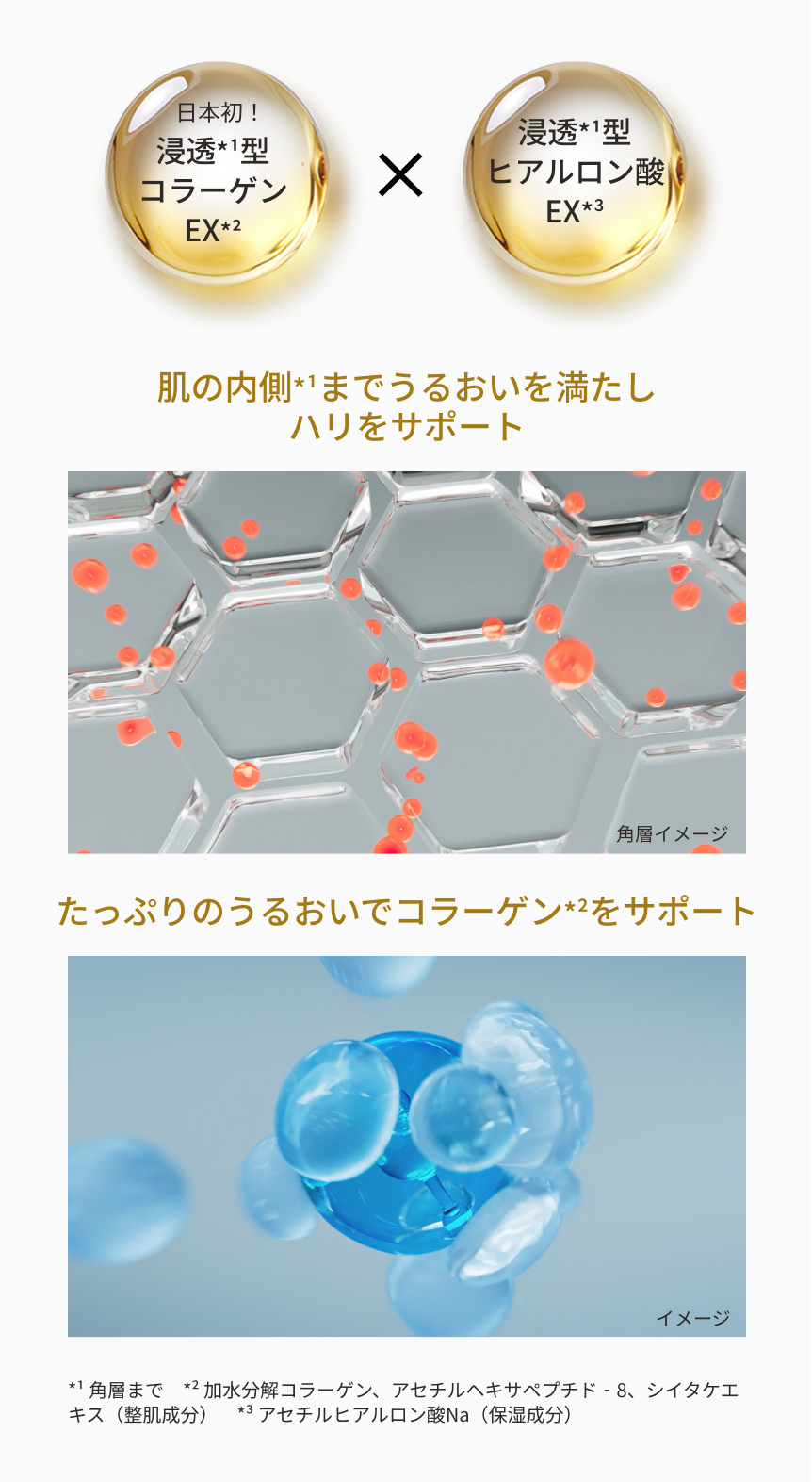 凛と上向き。自信に満ちるハリ肌へ。 アクアコラーゲンゲルエンリッチリフトEX