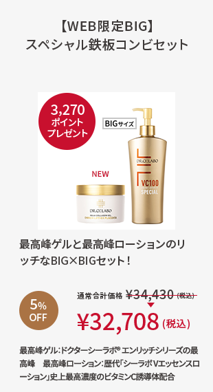 【WEB限定BIG】スペシャル鉄板コンビセット