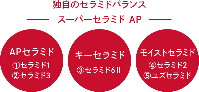 独自のセラミドバランス スーパーセラミドAP APセラミド①セラミド1 ②セラミド2 キーセラミド③セラミド6Ⅱ モイストセラミド④セラミド2 ⑤ユズセラミド