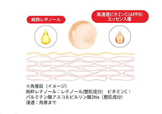先端美容皮膚科学の視点から 年齢と共に低下するターンオーバーに着目して 厳選した2大成分を配合 純粋レチノール 高浸透ビタミンC(APPS) エッセンス層 ※※角層図（イメージ）
