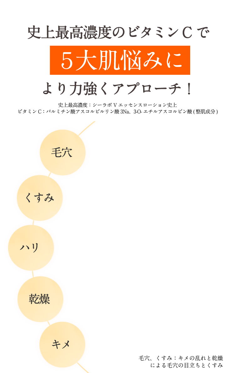 史上最高濃度のビタミンCで5大肌悩みにより力強くアプローチ