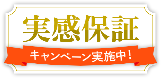 さらに・・・期間限定 3/22(水)まで実感保証キャンペーン実施中!まずは30日間。お試しください。使用感にご満足いただけない場合、全額返金いたします。