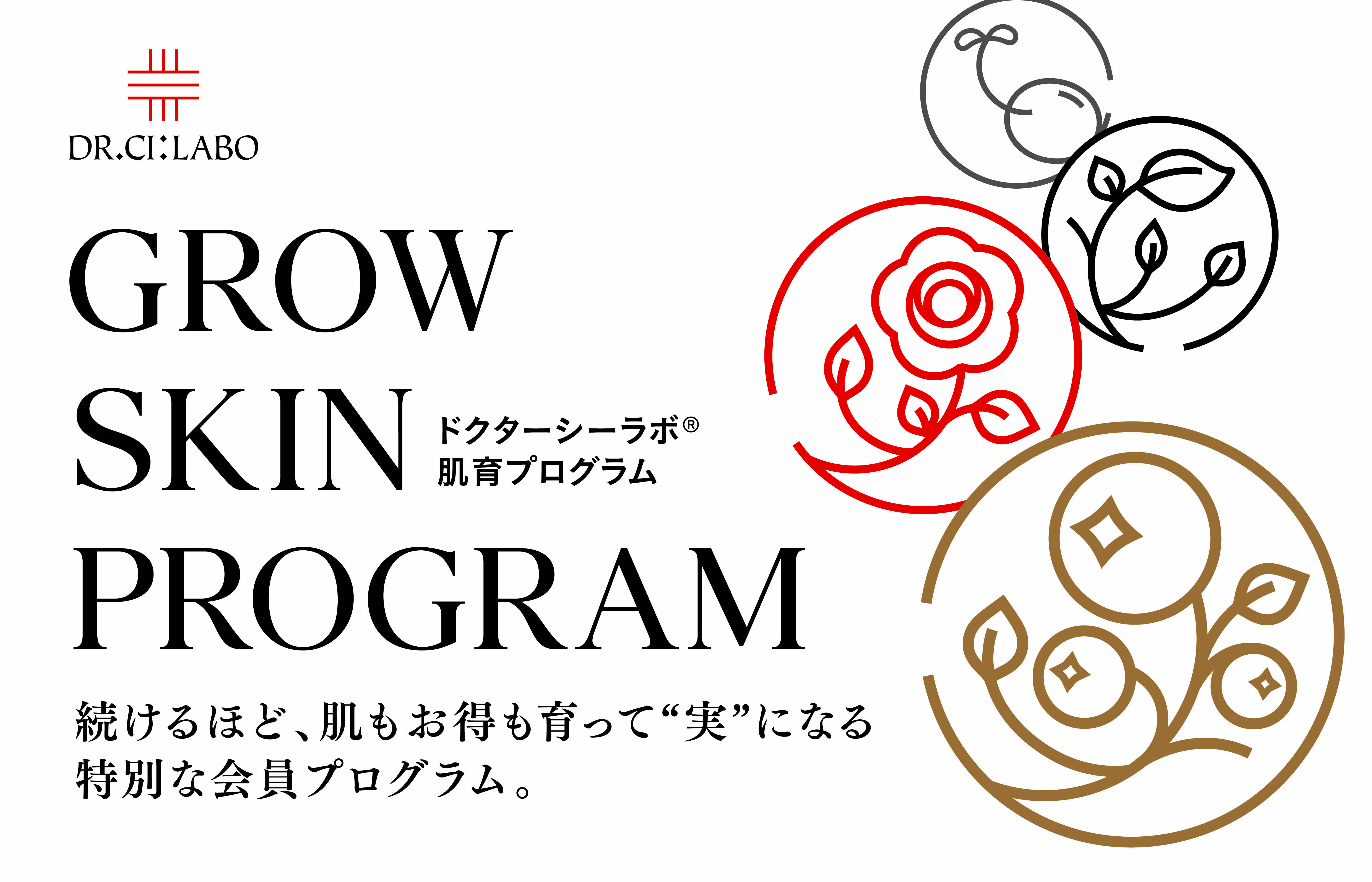 GROW SKIN PROGRAM