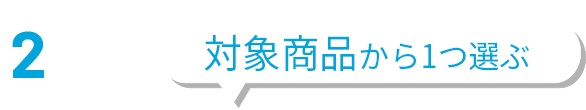2点目 対象商品から1つ選ぶ