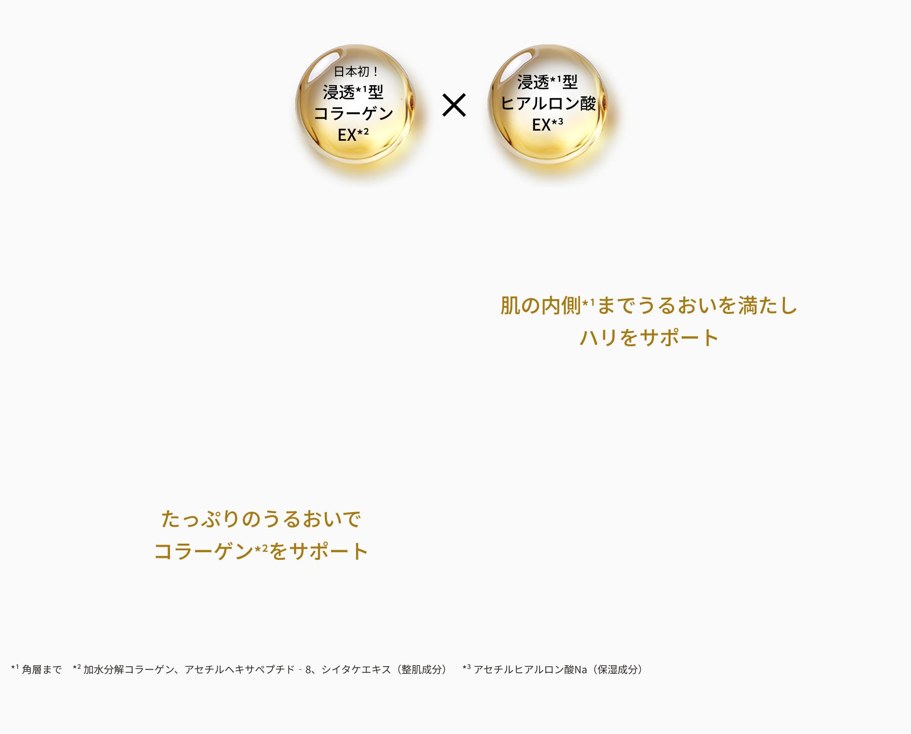 凛と上向き。自信に満ちるハリ肌へ。 アクアコラーゲンゲルエンリッチリフトEX