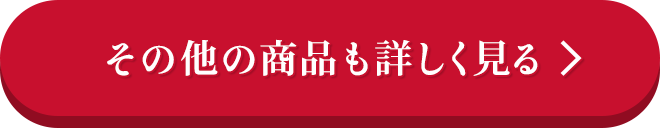 その他の商品も詳しく見る