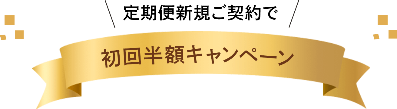 新商品発売記念!ポイント10倍キャンペーン