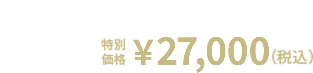 12%OFF 特別価格 ￥27,000(税込)