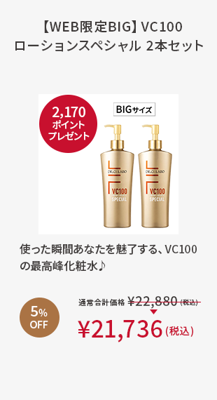 【WEB限定BIG】VC100ローションスペシャル 2本セット