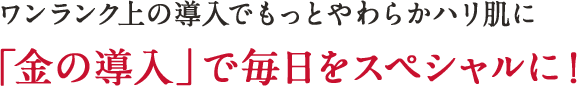 ワンランク上の導入でもっとやわらかハリ肌に「金の導入」で毎日をスペシャルに！