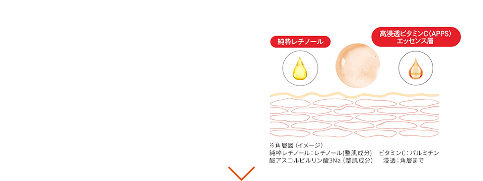 純粋レチノール 高浸透ビタミンC(APPS) エッセンス層 ※角層図（イメージ）純粋レチノール：レチノール(整肌成分)　ビタミンC：パルミチン酸アスコルビルリン酸3Na（整肌成分）　浸透：角層まで