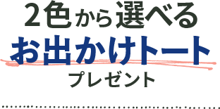 2色から選べるお出かけトートプレゼント