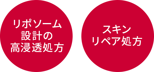 リポソーム設計の高浸透処方 スキンリペア処方