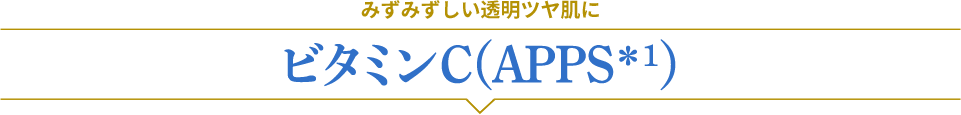 みずみずしい透明ツヤ肌に　ビタミンC(APPS＊1)