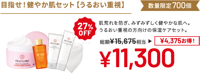目指せ!健やか肌セット(うるおい重視) 肌荒れを防ぎ、みずみずしく健やかな肌へ。うるおい重視の方向けの保湿ケアセット。 数量限定700個 27%OFF 総額15,675円相当→11,300円(4,375円お得!)
