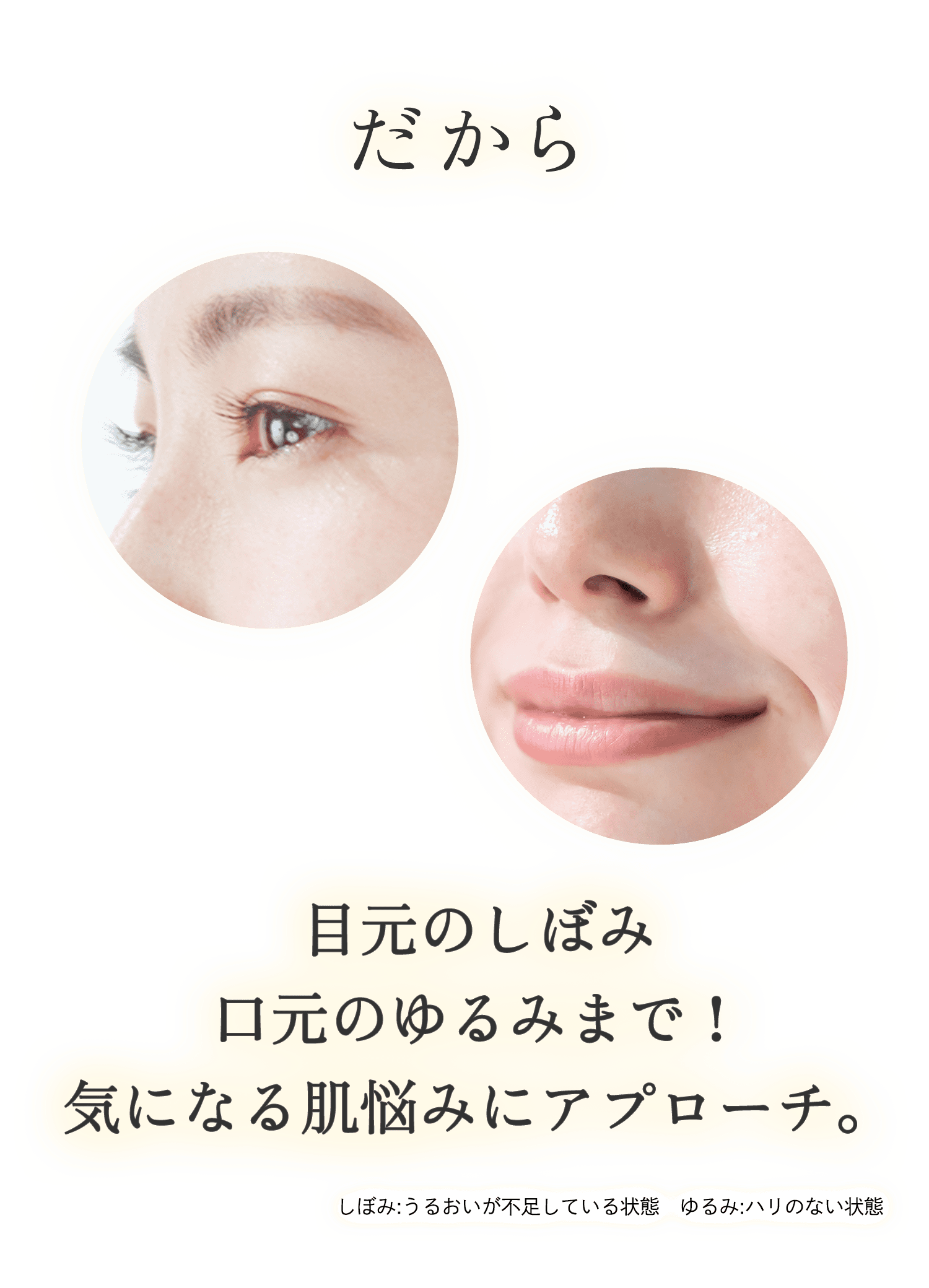 ドクターシーラボ 新・エンリッチチフトEX 成分について