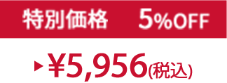 特別価格5%OFF ¥5,956(税込)