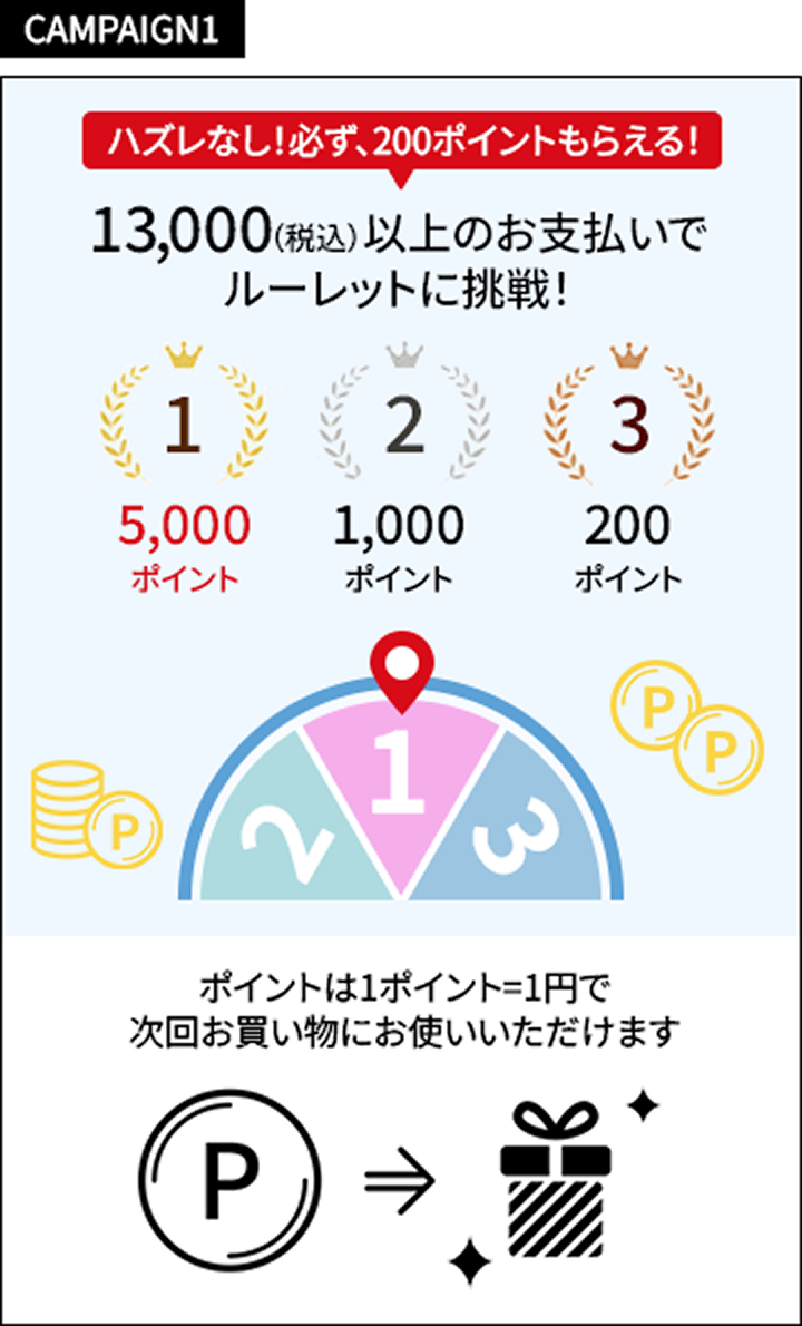CAMPAIGN1