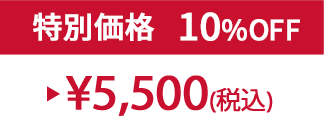 特別価格10% ¥5,500(税込)
