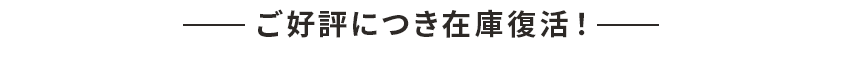 ご好評につき在庫復活！