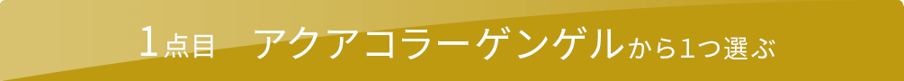 1点目 アクアコラーゲンゲルから1つ選ぶ