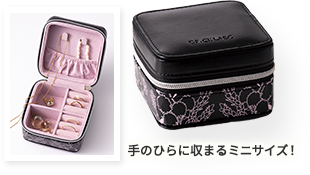 持ち運び用 アクセサリーケース