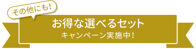 その他にも！お得な選べるセットキャンペーン実施中！