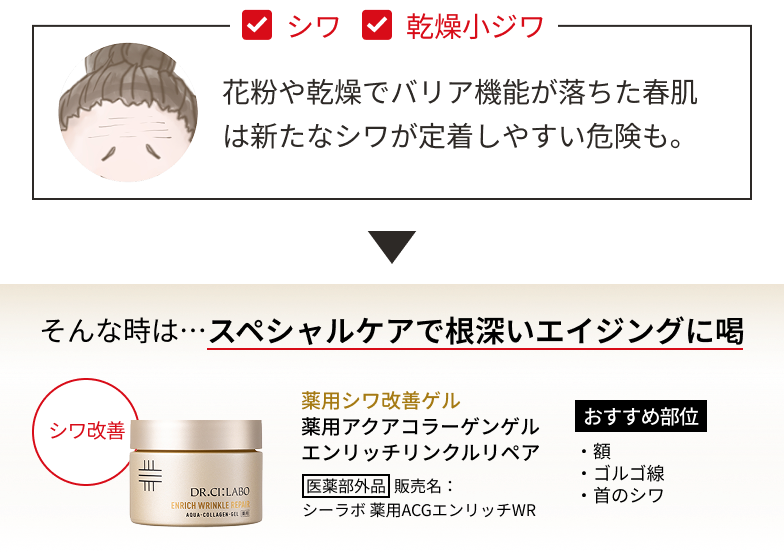 シワ・乾燥小ジワ