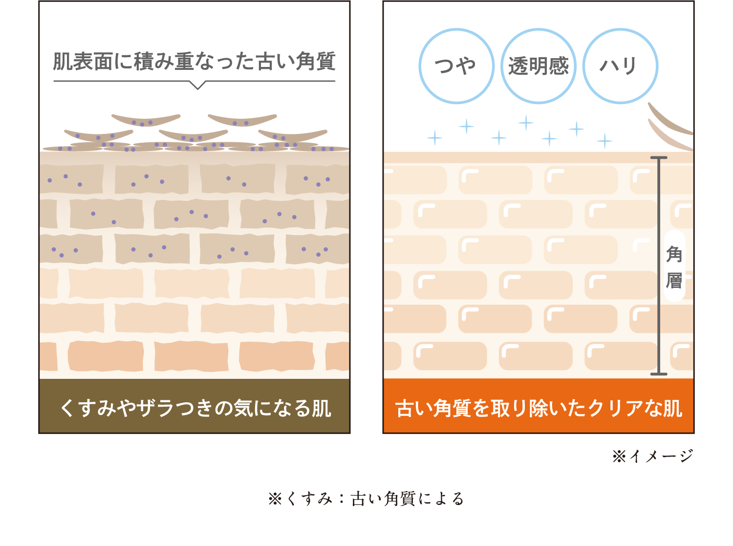 VC100ピーリングソープ｜口コミ・効果もご紹介