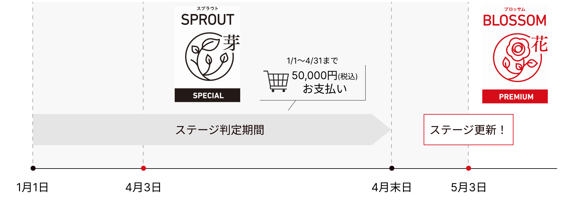 ポイントアップ