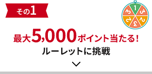 その1 最大5,000ポイント当たる！ルーレットに挑戦