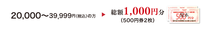 20,000〜39,999円(税込)の方 総額1,000円分(500円券2枚)