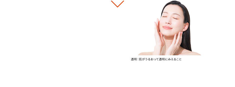 ※透明:肌がうるおって透明にみえること